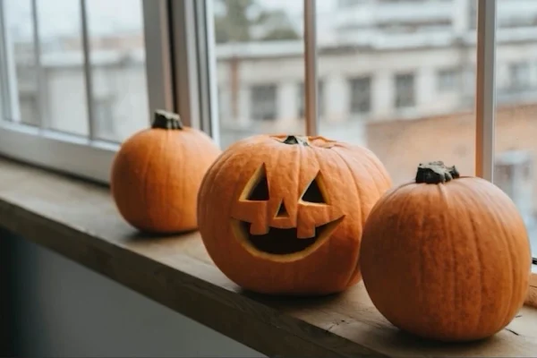 Pol po Podswietlana dynia 87 2